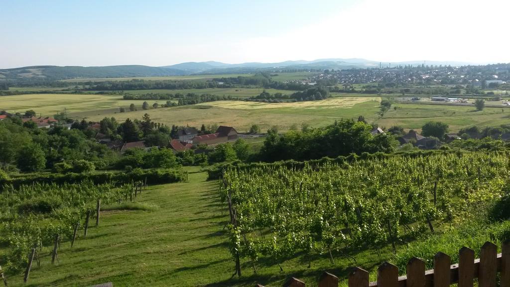 Hotel Arpad Haz Alsonana Zewnętrze zdjęcie