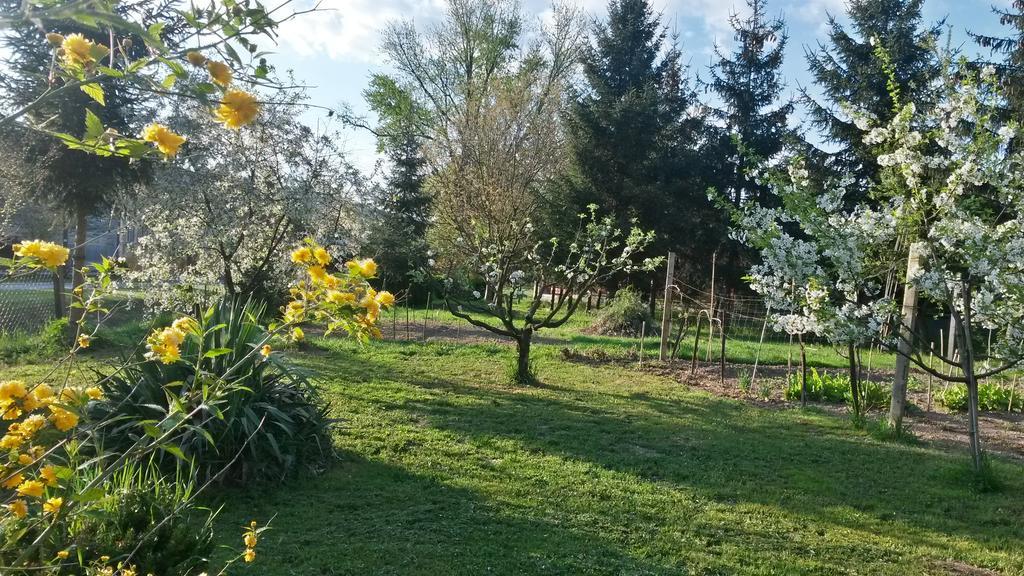 Hotel Arpad Haz Alsonana Zewnętrze zdjęcie